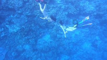 遥知不是雪为有暗香来懂得了什么人生哲理?红迪网平台 - 全面了解遥知不是雪为有暗香来懂得了什么人生哲理?的资讯和话题讨论
